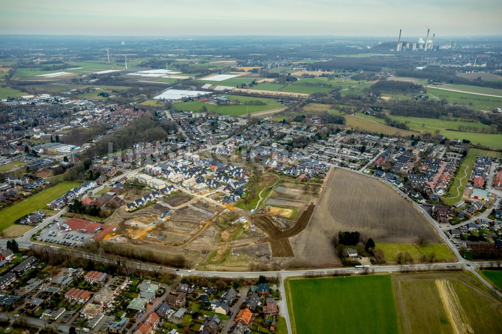 Luftbild Bottrop - Baustellen zum Neubau- Wohngebiet einer Einfamilienhaus- Siedlung in Bottrop im Bundesland Nordrhein-Westfalen