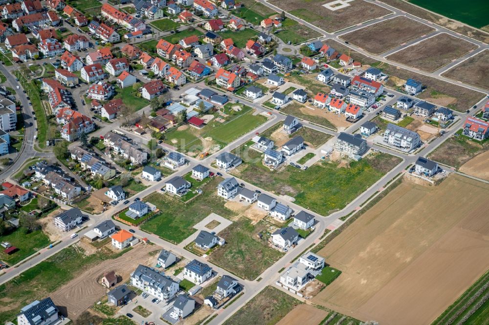 Luftbild Endingen am Kaiserstuhl - Baustellen zum Neubau- Wohngebiet einer Einfamilienhaus- Siedlung Endingen in Endingen am Kaiserstuhl im Bundesland Baden-Württemberg, Deutschland