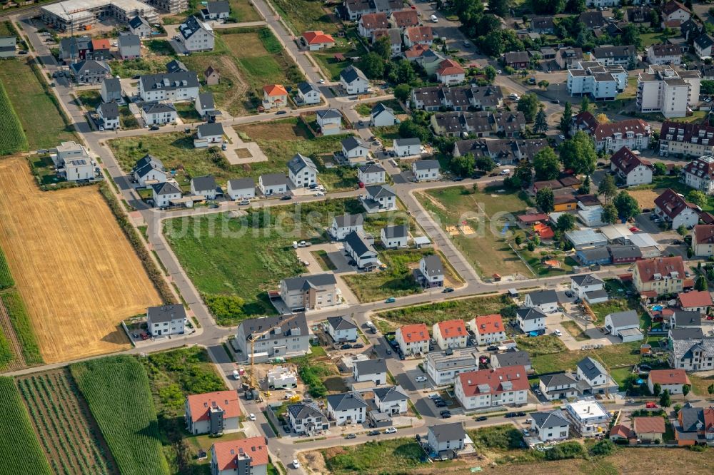 Endingen am Kaiserstuhl aus der Vogelperspektive: Baustellen zum Neubau- Wohngebiet einer Einfamilienhaus- Siedlung Endingen in Endingen am Kaiserstuhl im Bundesland Baden-Württemberg, Deutschland