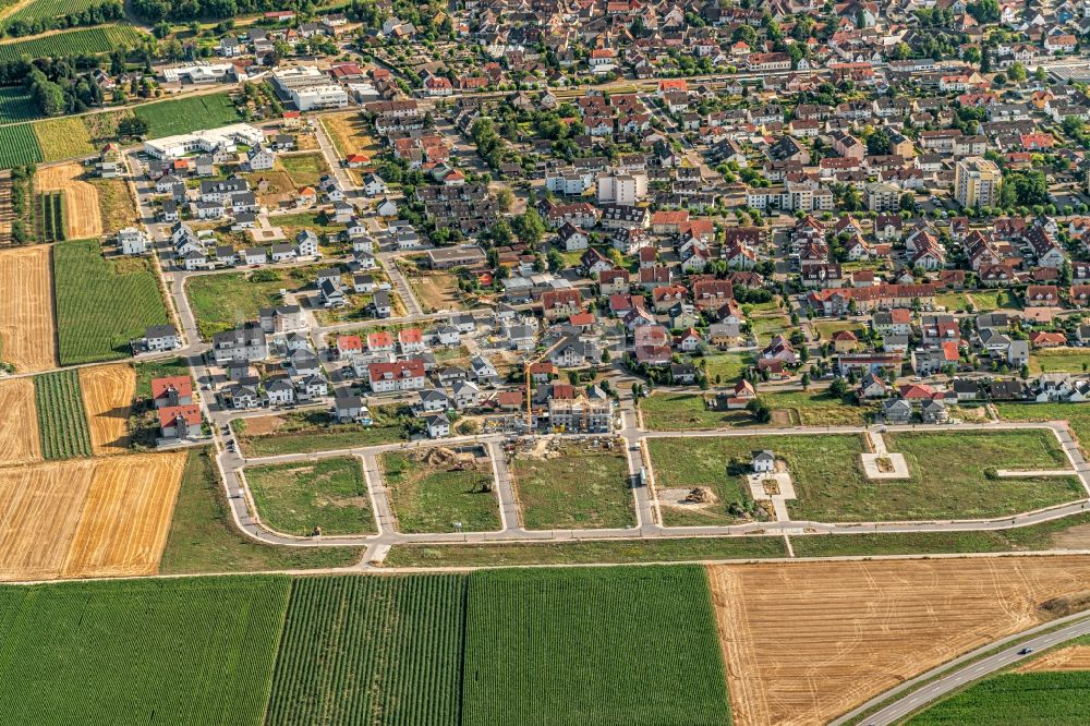 Endingen am Kaiserstuhl von oben - Baustellen zum Neubau- Wohngebiet einer Einfamilienhaus- Siedlung Endingen in Endingen am Kaiserstuhl im Bundesland Baden-Württemberg, Deutschland