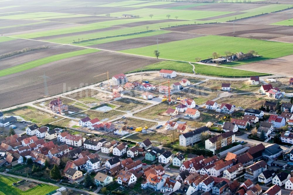 Luftbild Kandel - Baustellen zum Neubau- Wohngebiet einer Einfamilienhaus- Siedlung Am Höhenweg in Kandel im Bundesland Rheinland-Pfalz