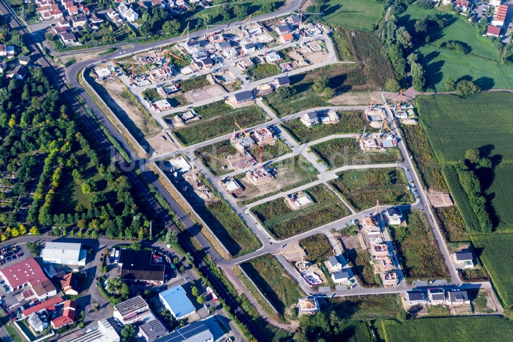 Wörth am Rhein von oben - Baustellen zum Neubau- Wohngebiet einer Einfamilienhaus- Siedlung In den Niederwiesen in Wörth am Rhein im Bundesland Rheinland-Pfalz, Deutschland