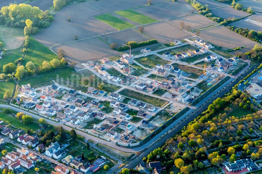 Luftaufnahme Wörth am Rhein - Baustellen zum Neubau- Wohngebiet einer Einfamilienhaus- Siedlung In den Niederwiesen in Wörth am Rhein im Bundesland Rheinland-Pfalz, Deutschland