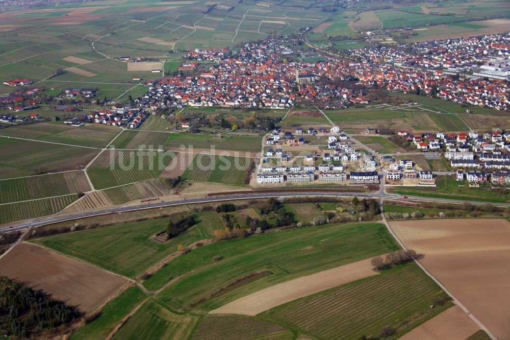 Luftbild Bodenheim - Baustellen zum Neubau- Wohngebiet einer Einfamilienhaus- Siedlung am Ortsrand von Bodenheim im Bundesland Rheinland-Pfalz