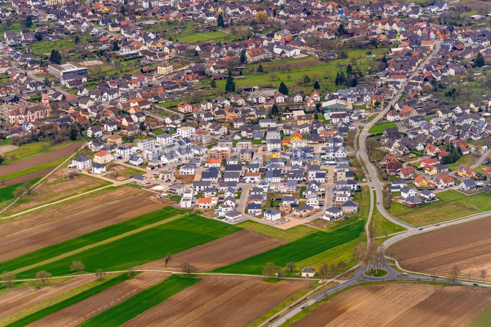 Luftbild Rheinhausen - Baustellen zum Neubau- Wohngebiet einer Einfamilienhaus- Siedlung in Rheinhausen im Bundesland Baden-Württemberg, Deutschland