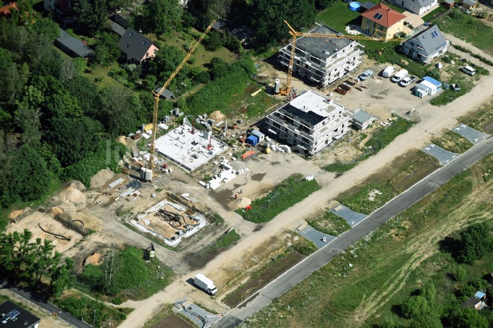 Berlin von oben - Baustellen zum Neubau- Wohngebiet einer Einfamilienhaus- Siedlung im Stadtteil Hellersdorf in Berlin