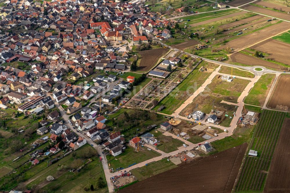 Wyhl am Kaiserstuhl aus der Vogelperspektive: Baustellen zum Neubau- Wohngebiet einer Einfamilienhaus- Siedlung in Wyhl am Kaiserstuhl im Bundesland Baden-Württemberg, Deutschland