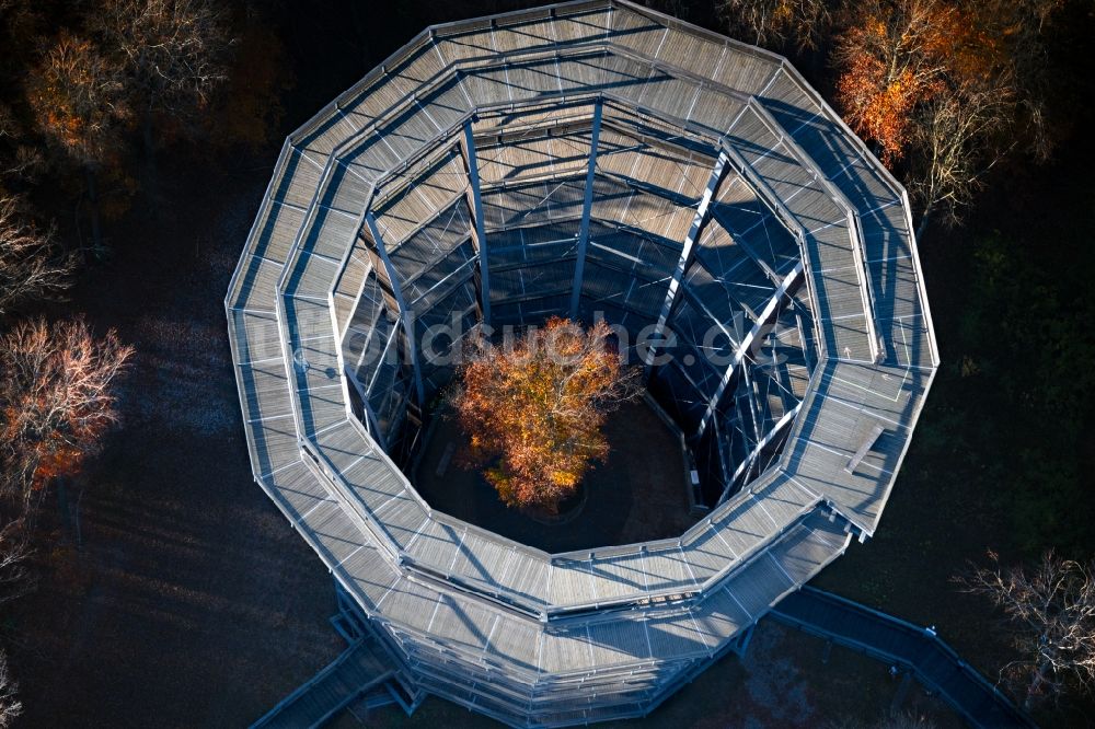 Ebracher Forst von oben - Bauwerk des Aussichtsturmes Baumwipfelpfad Steigerwald Tower in Ebracher Forst im Bundesland Bayern, Deutschland