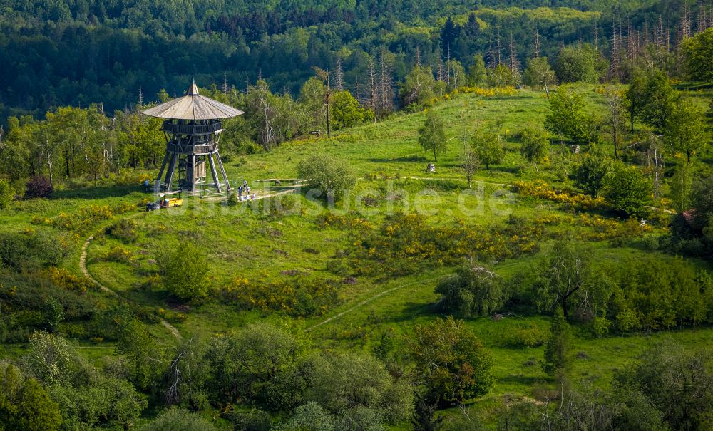 Luftaufnahme Steinheim - Bauwerk des Aussichtsturmes Eggeturm in Steinheim im Bundesland Nordrhein-Westfalen, Deutschland