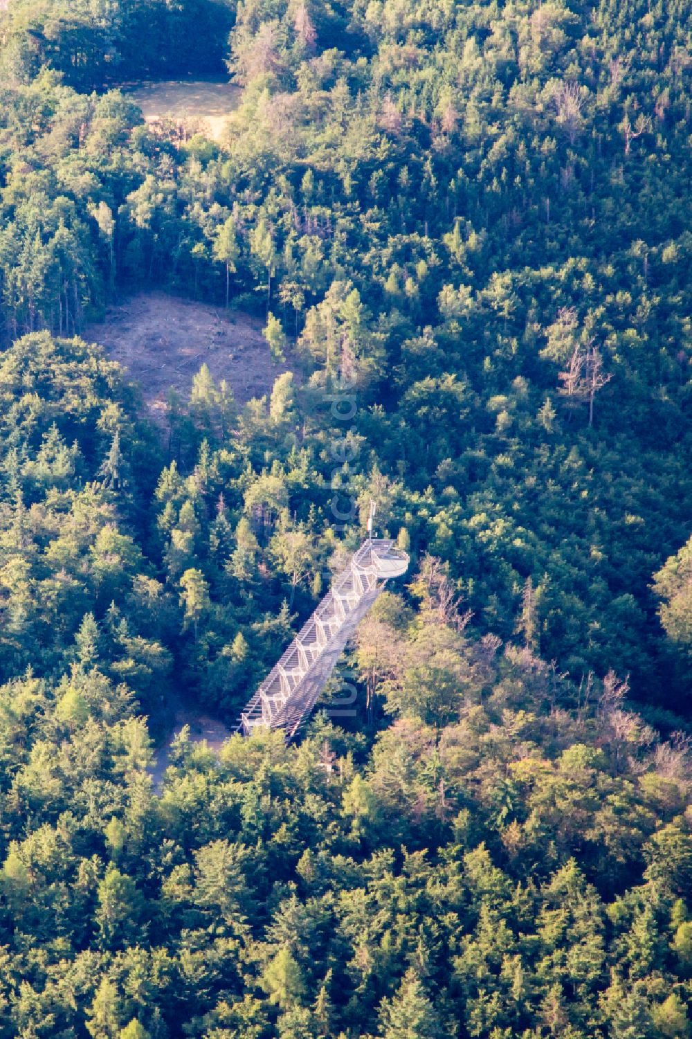 Luftbild Rimbach - Bauwerk des Aussichtsturmes Trommturm in Rimbach im Bundesland Hessen, Deutschland