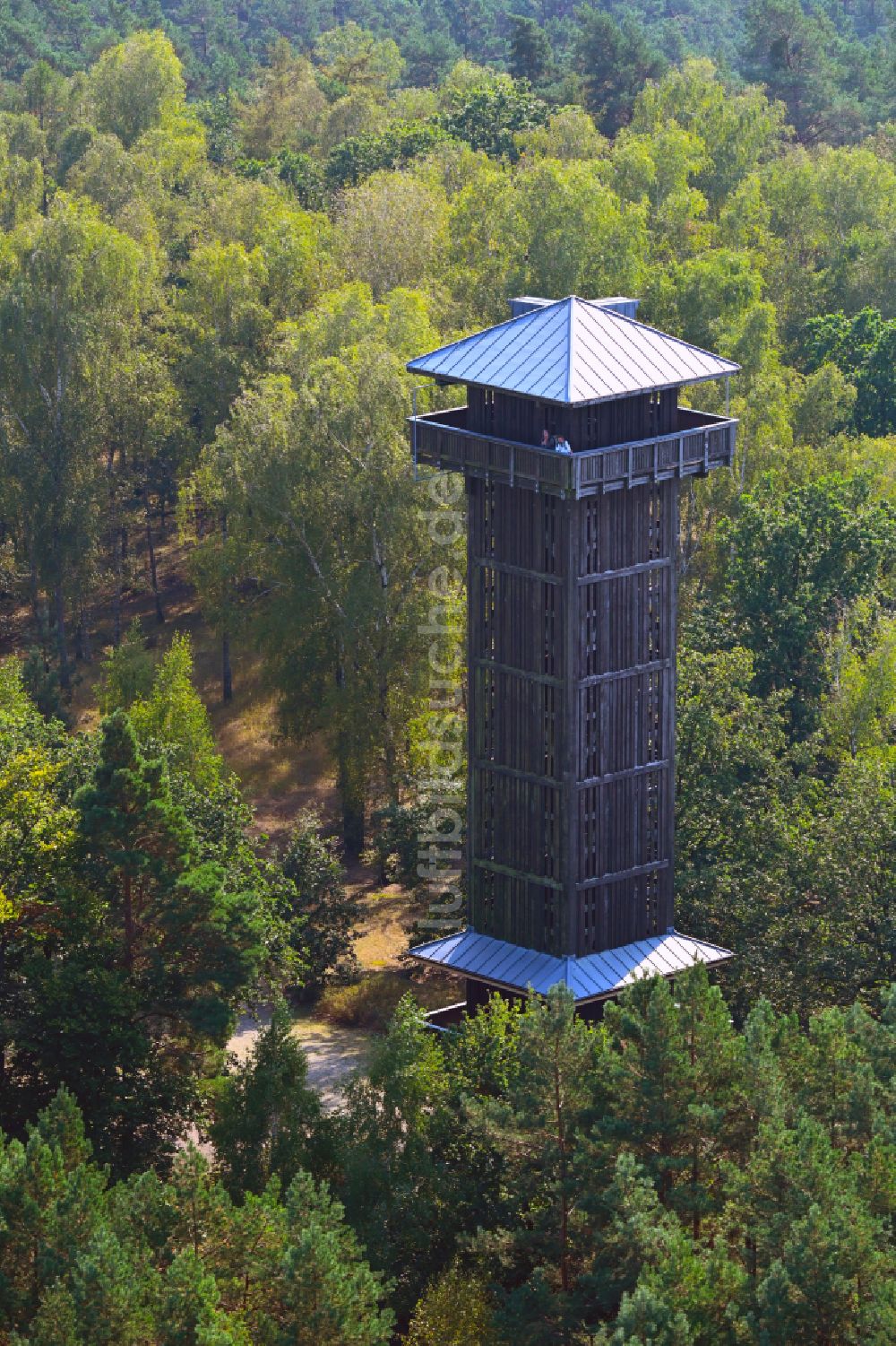 Groß Wasserburg aus der Vogelperspektive: Bauwerk des Aussichtsturmes am Wehlaberg in Groß Wasserburg im Bundesland Brandenburg, Deutschland