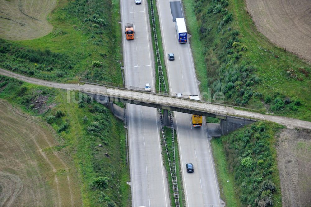 Luftbild Neuendorf - Bauwerke und Streckenführung der BAB Bundesautobahn A9 bei Neundorf in Thüringen