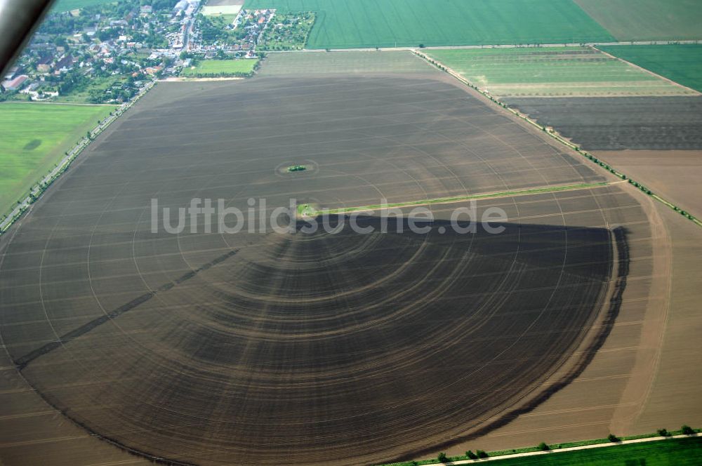 Baasdorf aus der Vogelperspektive: Beregnungsanlage auf einem Feld nordwestlich von Baasdorf in Sachsen-Anhalt