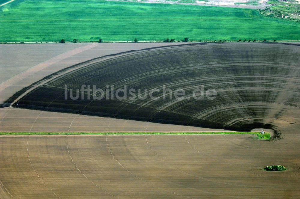 Luftaufnahme Baasdorf - Beregnungsanlage auf einem Feld nordwestlich von Baasdorf in Sachsen-Anhalt