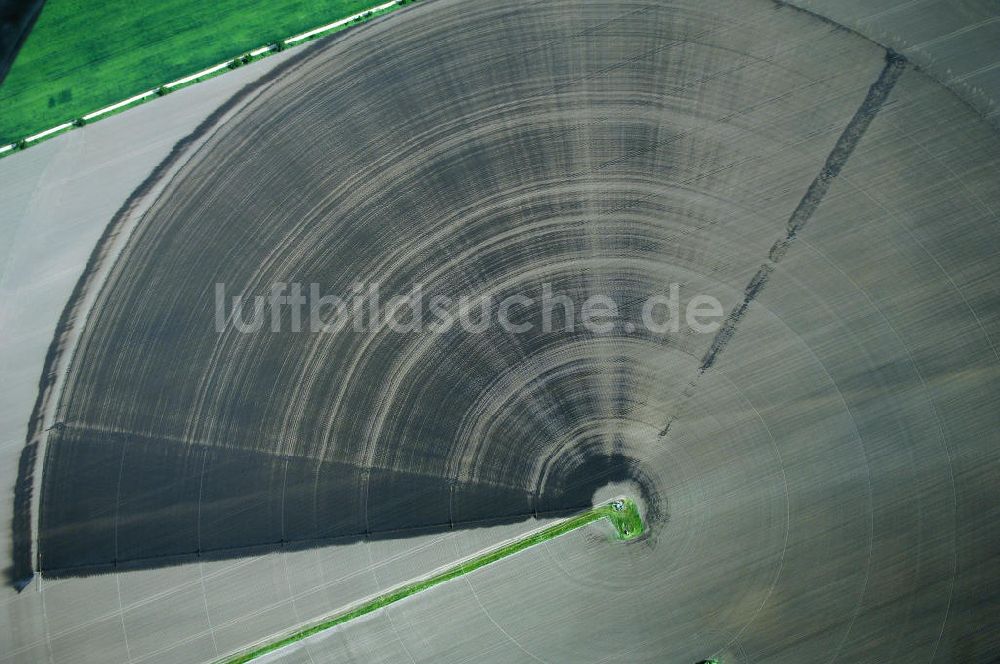 Baasdorf aus der Vogelperspektive: Beregnungsanlage auf einem Feld nordwestlich von Baasdorf in Sachsen-Anhalt