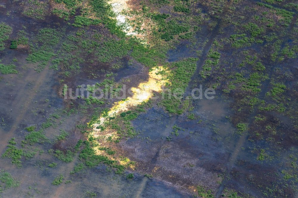 Luftaufnahme Bremen - Überflutete Überflutete Wiesen am Oberen Oerenstreeck im Ortsteil Borgfeld in Bremen, Deutschland