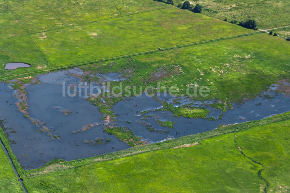 Bremen von oben - Überflutete Überflutete Wiesen am Oberen Oerenstreeck im Ortsteil Borgfeld in Bremen, Deutschland