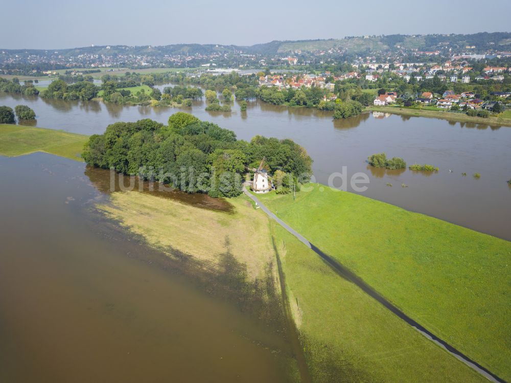 Luftbild Dresden - Überflutete Flutungswiesen am Hochwasser- Pegel führenden Flußbett der Elbe im Ortsteil Gohlis in Dresden im Bundesland Sachsen, Deutschland