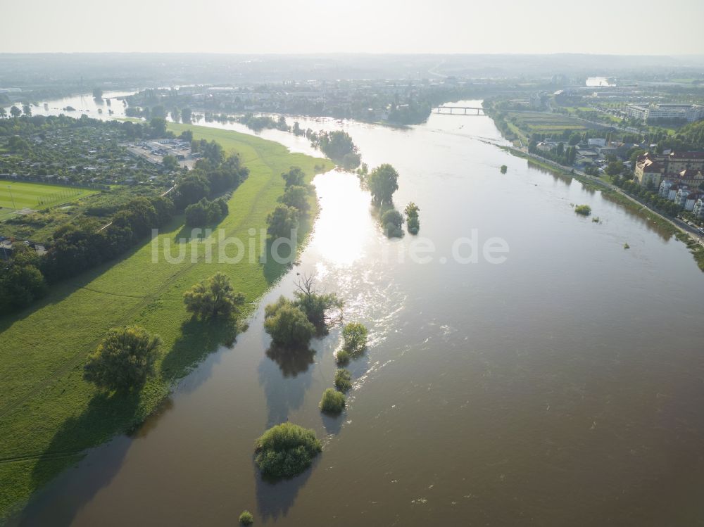 Dresden von oben - Überflutete Flutungswiesen am Hochwasser- Pegel führenden Flußbett der Elbe im Ortsteil Gohlis in Dresden im Bundesland Sachsen, Deutschland