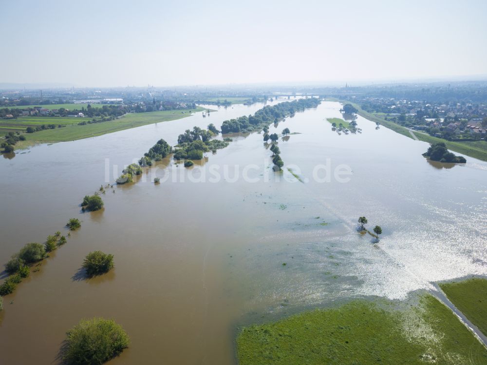 Luftbild Dresden - Überflutete Flutungswiesen am Hochwasser- Pegel führenden Flußbett der Elbe im Ortsteil Gohlis in Dresden im Bundesland Sachsen, Deutschland