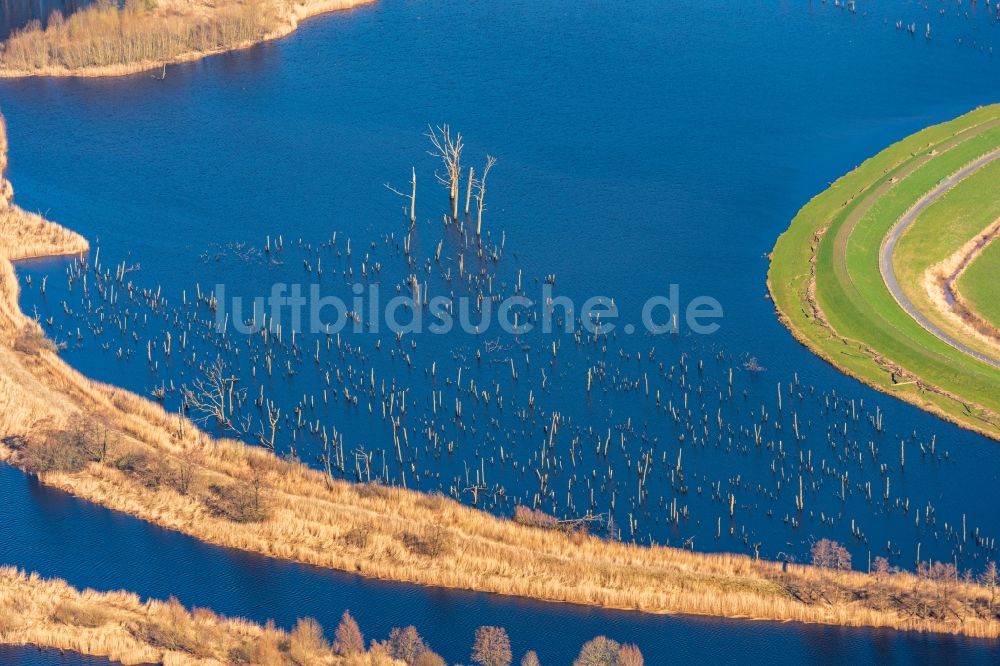 Luftbild Estorf - Überflutete Flutungswiesen am Hochwasser- Pegel führenden Flußbett des Naturschutzgebiet Osteschleifen in Estorf im Bundesland Niedersachsen, Deutschland