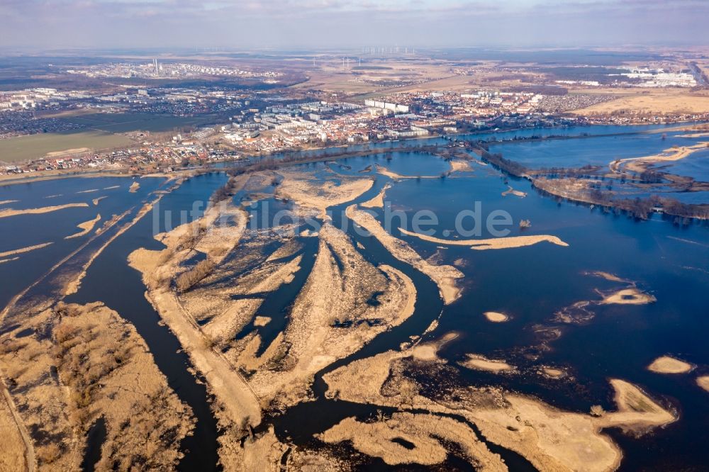 Luftbild Schwedt/Oder - Überflutete Flutungswiesen am Hochwasser- Pegel führenden Flußbett der Oder in Schwedt/Oder im Bundesland Brandenburg, Deutschland