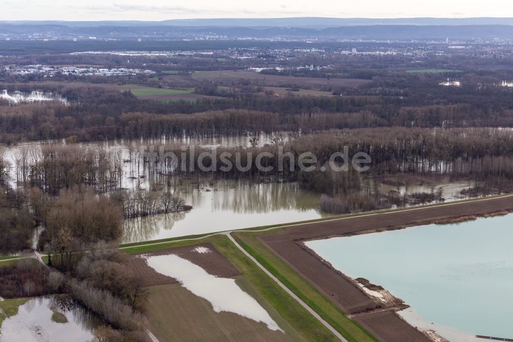 Luftbild Neupotz Überflutete Flutungswiesen Des Polder Neupotz Am Hochwasser Pegel Führenden 2803