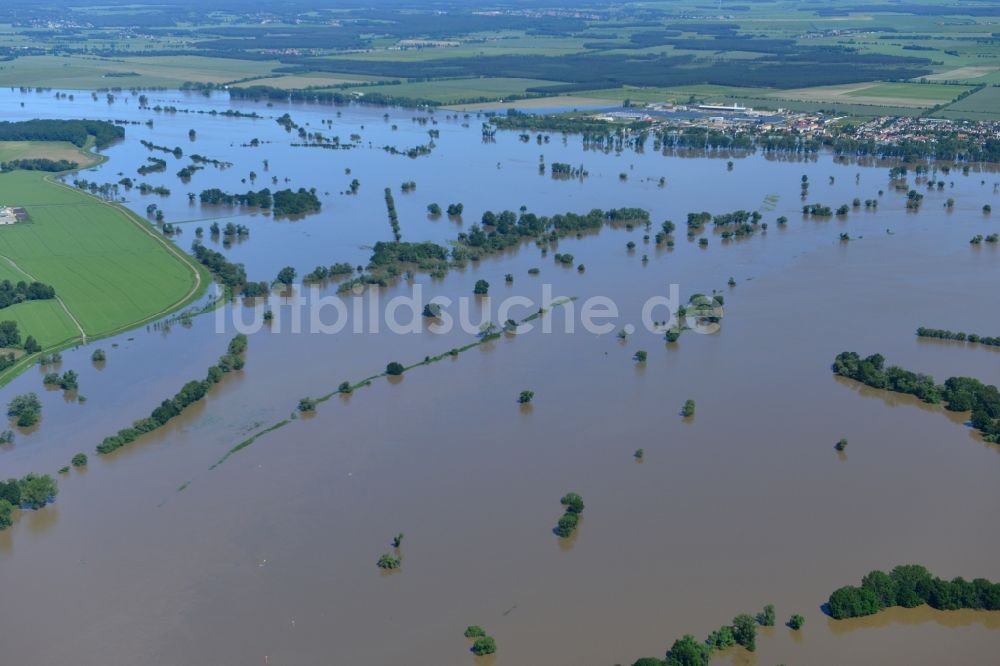 Schützberg aus der Vogelperspektive: Überflutete Landschaft mit Hochwasser Pegel - Situation durch Überschwemmung, Dammbruch und Übertritt der Ufer der Elbe bei Schützberg im Bundesland Sachsen-Anhalt