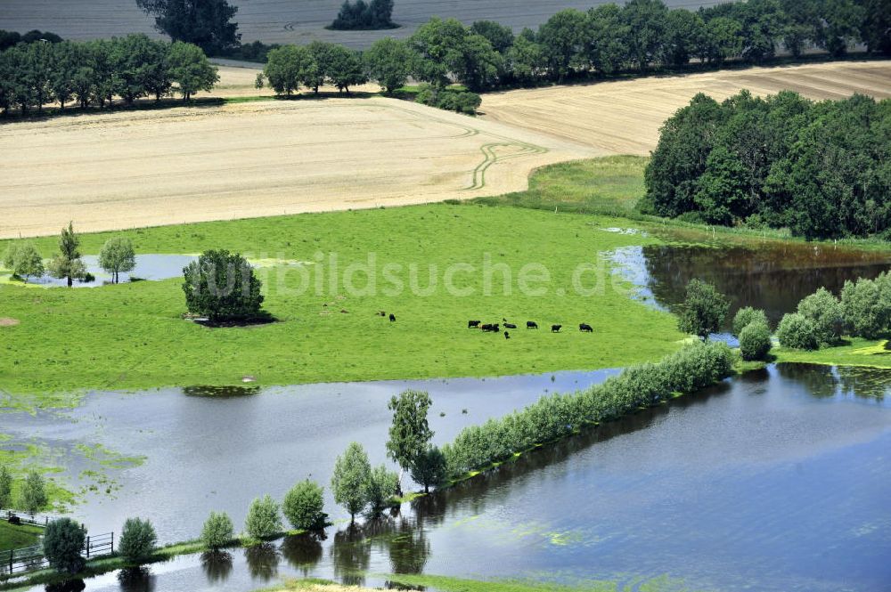 Luftaufnahme Poggelow - Überflutung von Wiesen und Feldern in Mecklenburg-Vorpommern