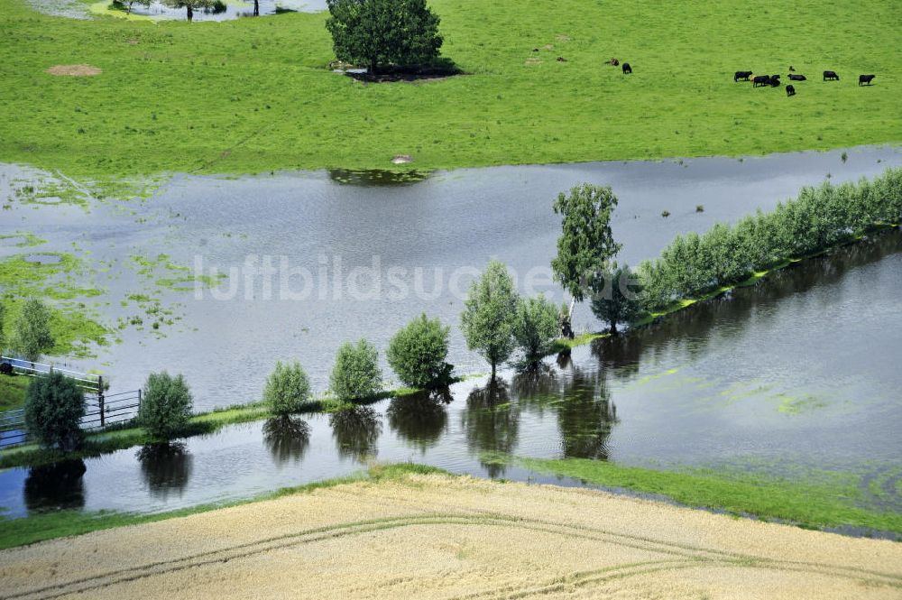 Poggelow von oben - Überflutung von Wiesen und Feldern in Mecklenburg-Vorpommern