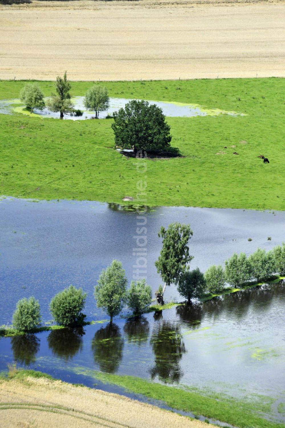 Luftbild Poggelow - Überflutung von Wiesen und Feldern in Mecklenburg-Vorpommern