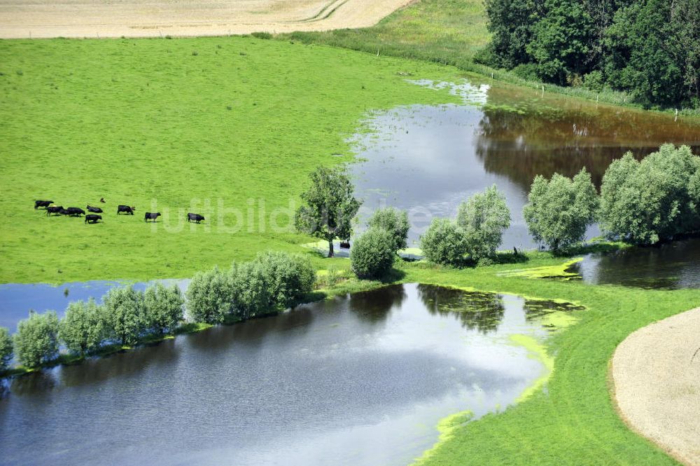 Luftaufnahme Poggelow - Überflutung von Wiesen und Feldern in Mecklenburg-Vorpommern