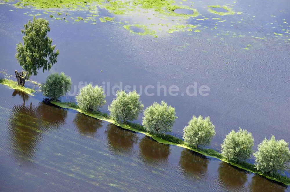 Luftbild Poggelow - Überflutung von Wiesen und Feldern in Mecklenburg-Vorpommern