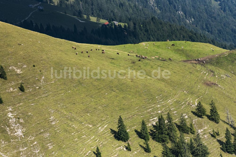 Bayrischzell aus der Vogelperspektive: Berg- und Tal Landschaft in Bayrischzell im Bundesland Bayern, Deutschland