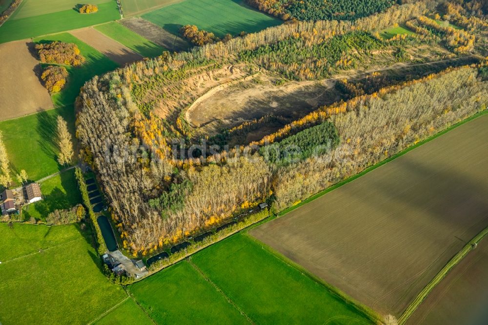 Düren von oben - Bergbau- Abraumhalde Berghalde Beythal in Düren im Bundesland Nordrhein-Westfalen, Deutschland