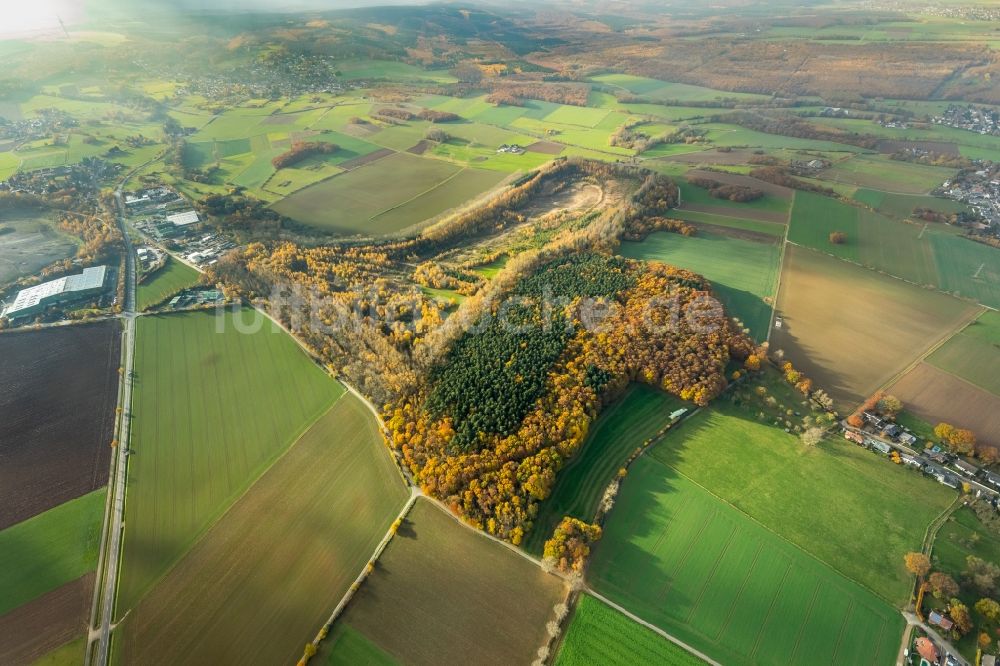 Düren aus der Vogelperspektive: Bergbau- Abraumhalde Berghalde Beythal in Düren im Bundesland Nordrhein-Westfalen, Deutschland