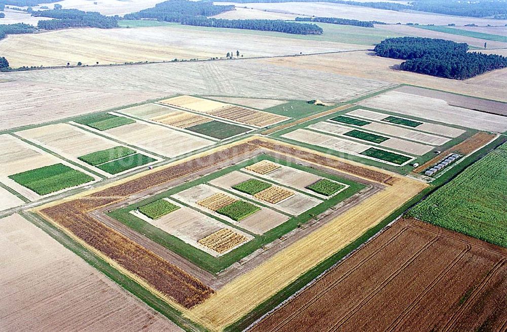 Bergholz / Brandenburg von oben - Bergholz / Brandenburg Blick auf Testanbaufelder im Nord-Osten von Bergholz in Brandenburg