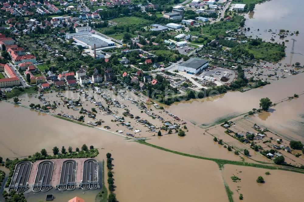 Riesa aus der Vogelperspektive: Überschwemmungen während und nach dem Hochwasser am Nord- und Süd-Ufer der Elbe bei Riesa im Bundesland Sachsen