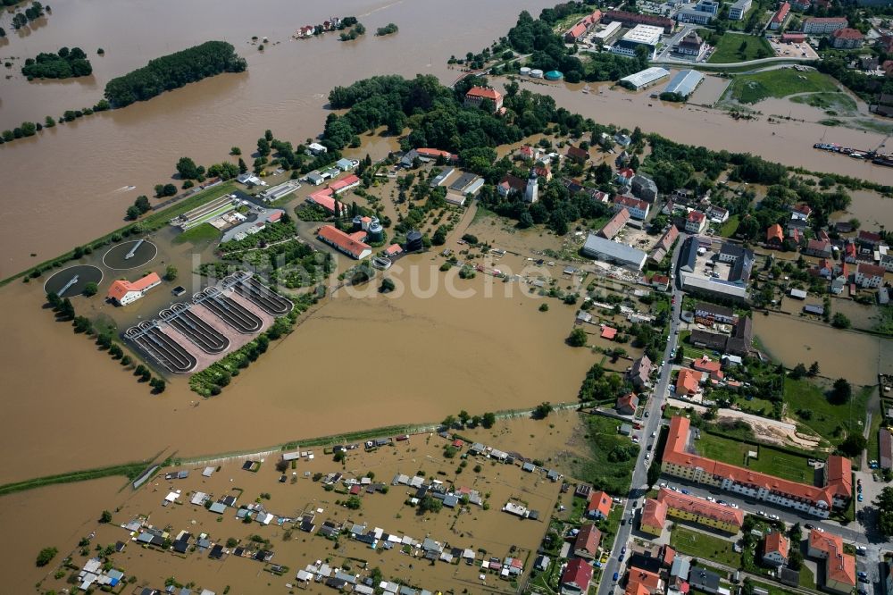 Luftbild Riesa - Überschwemmungen während und nach dem Hochwasser am Nord- und Süd-Ufer der Elbe bei Riesa im Bundesland Sachsen