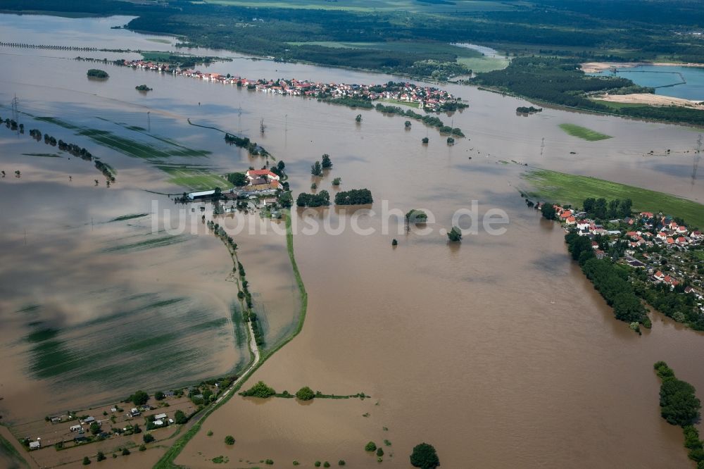 Riesa von oben - Überschwemmungen während und nach dem Hochwasser am Nord- und Süd-Ufer der Elbe bei Riesa im Bundesland Sachsen