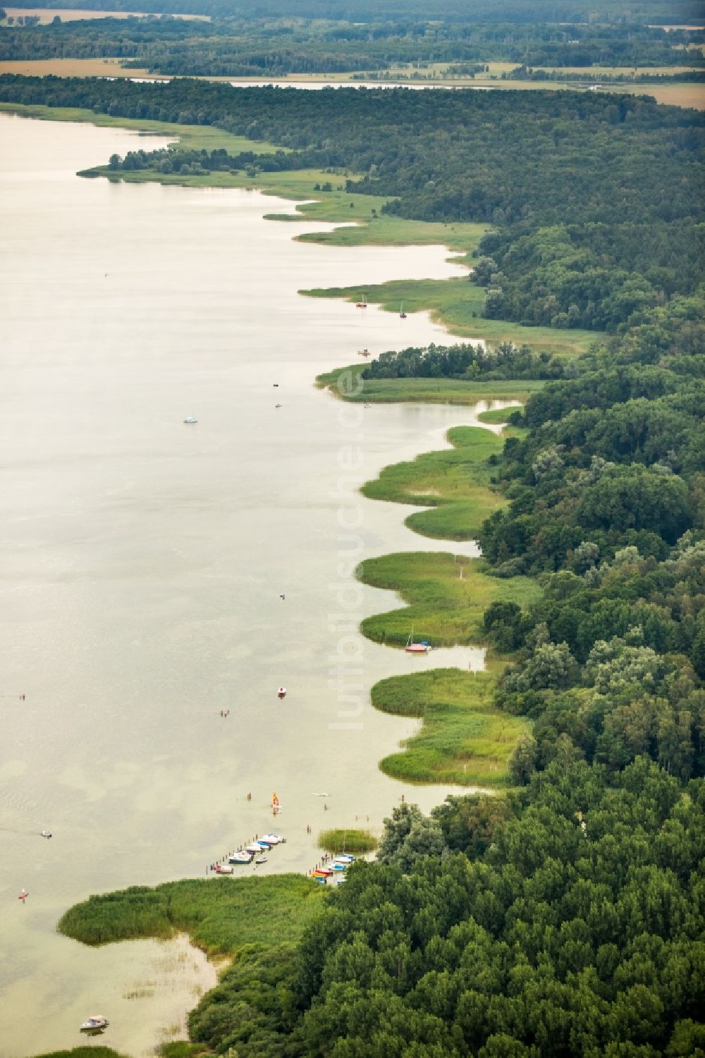 Luftaufnahme Boek - Bewaldete und seichte Uferbereiche der Müritz bei Boek im Bundesland Mecklenburg-Vorpommern