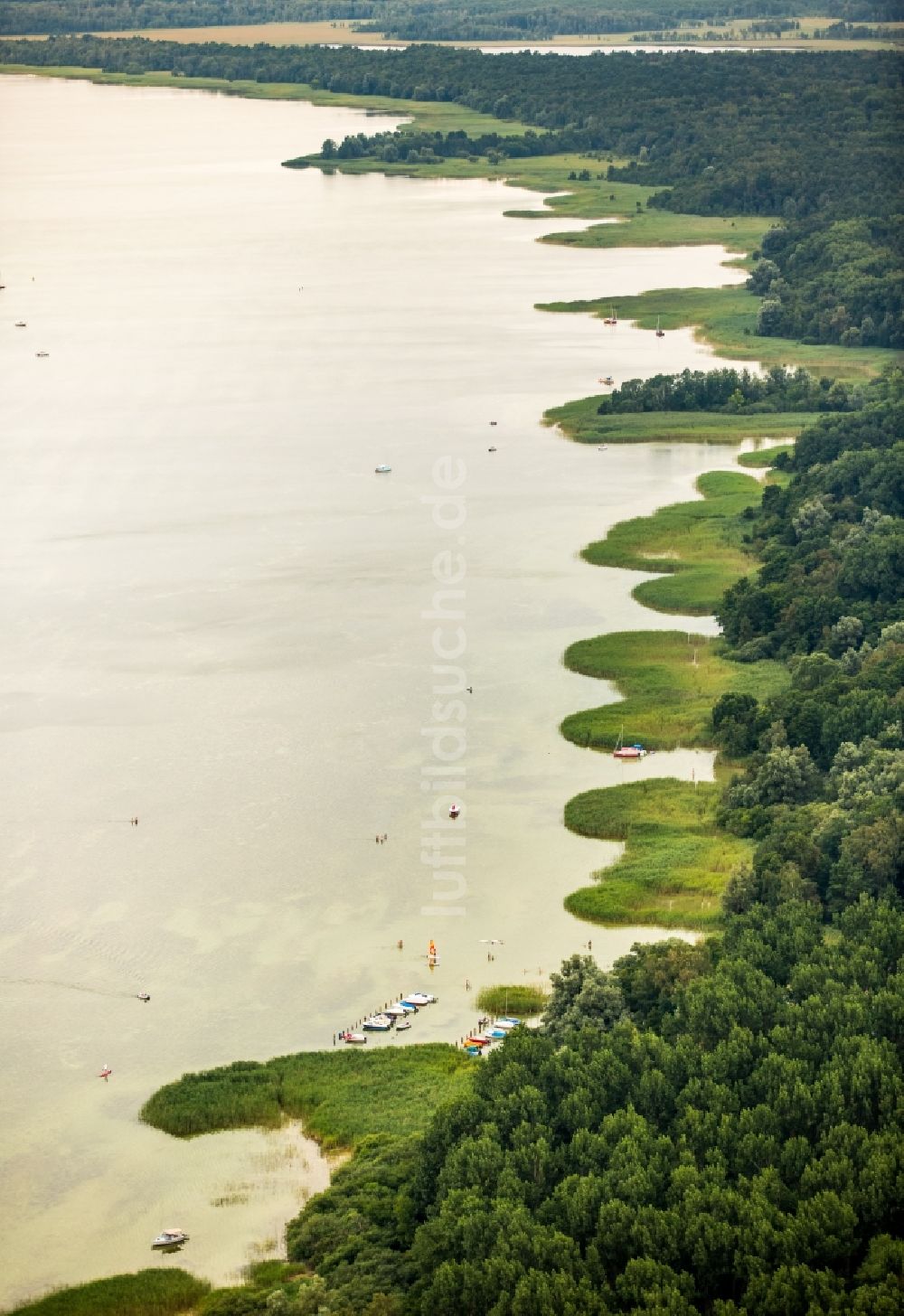 Boek von oben - Bewaldete und seichte Uferbereiche der Müritz bei Boek im Bundesland Mecklenburg-Vorpommern