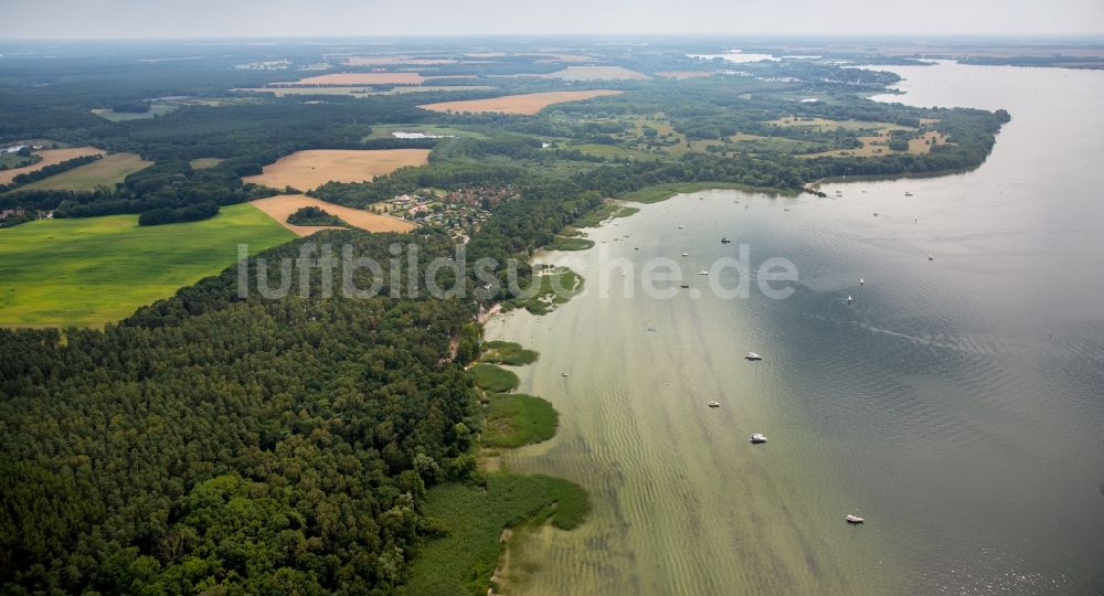 Boeker Mühle aus der Vogelperspektive: Bewaldete und seichte Uferbereiche der Müritz bei Boeker Mühle im Bundesland Mecklenburg-Vorpommern