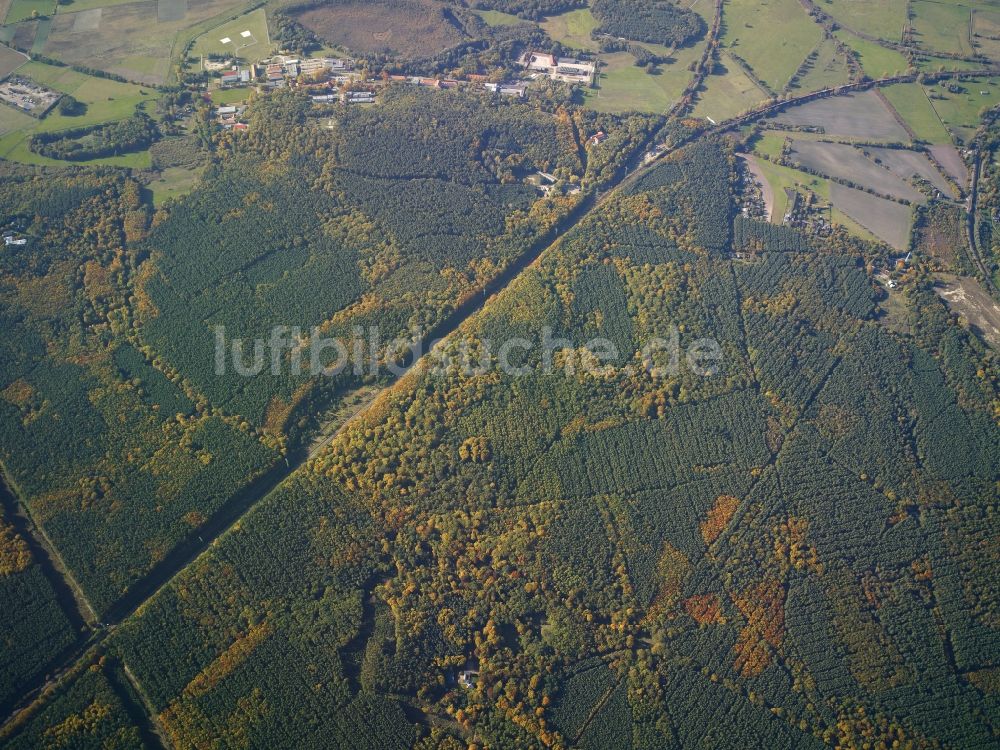 Luftbild Potsdam - Bewaldung im Stadtteil Westliche Vorstadt und dortige Gleisstrecke in Potsdam im Bundesland Brandenburg