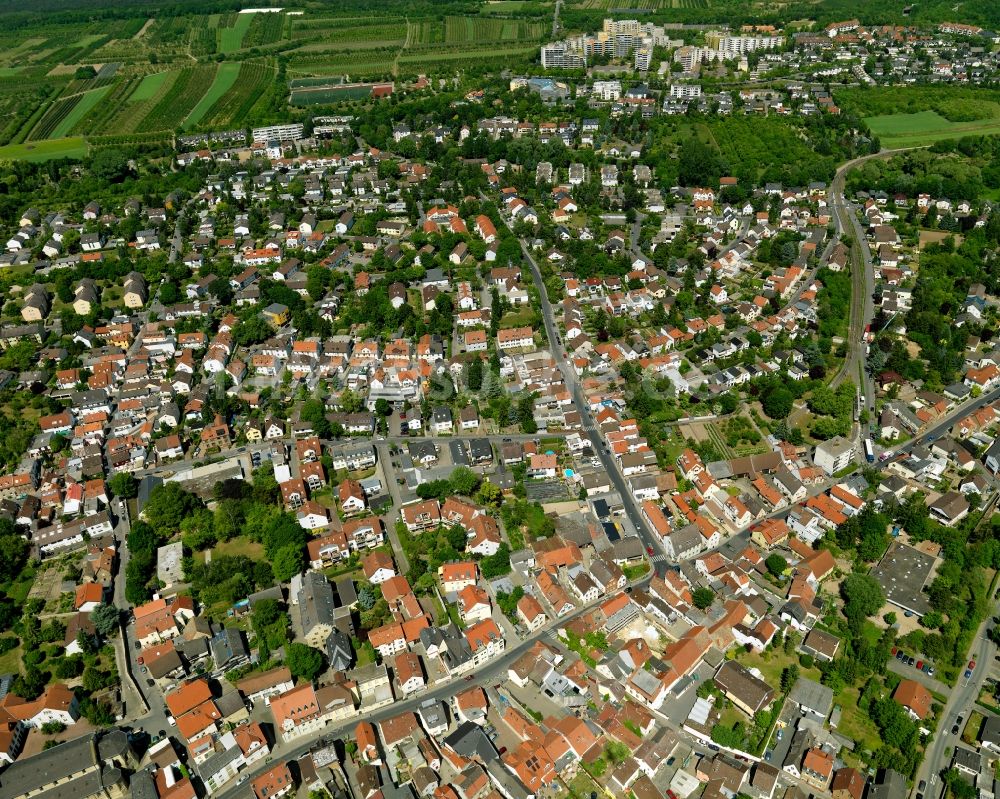 Mainz aus der Vogelperspektive: Bezirk Finthen in Mainz im Bundesland Rheinland-Pfalz