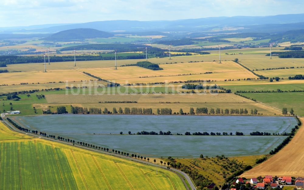 Luftbild Bösleben-Wüllersleben - Blühendes Öllein- Feld- Landschaft bei Bösleben-Wüllersleben im Bundesland Thüringen