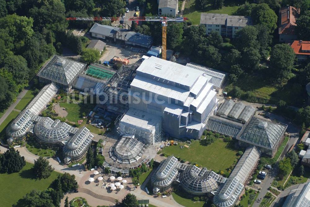 Luftbild Berlin - Blick auf die Baustelle am Großen Tropenhaus im Botanischen Garten Berlin