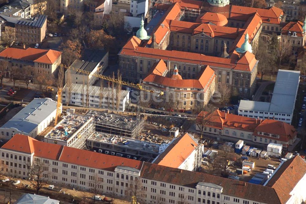 Potsdam von oben - Blick auf eine Baustelle hinter dem Alten Rathaus in Potsdam