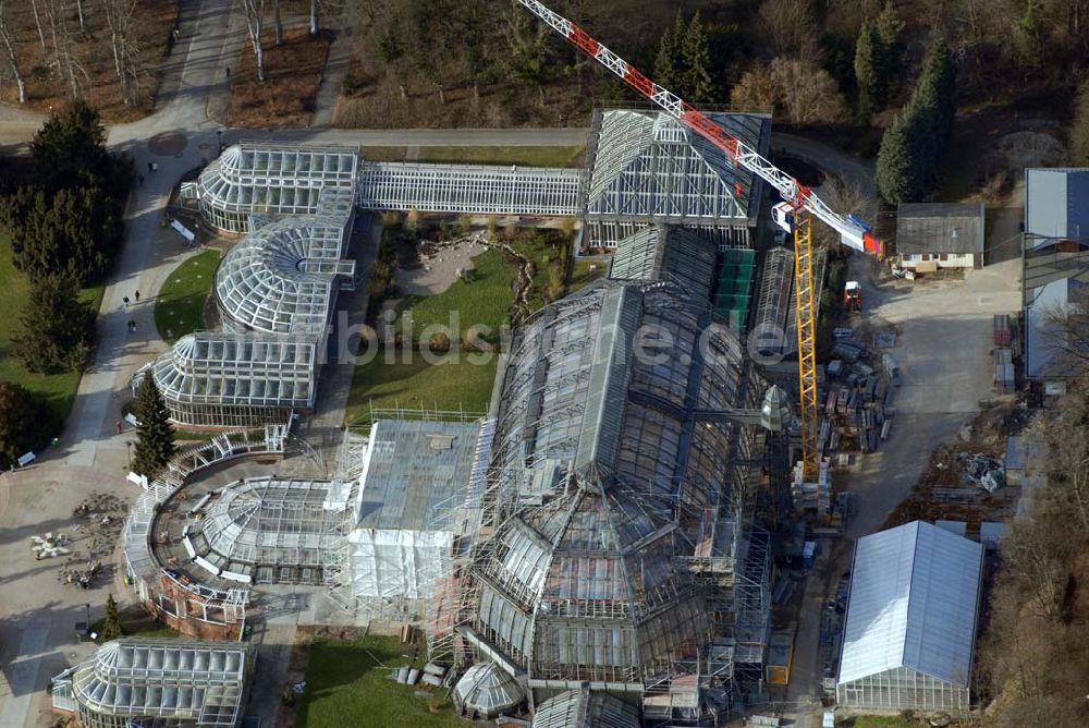 Berlin - Dahlem aus der Vogelperspektive: Blick auf die Baustelle zur Grundsanierung des 100 Jahre alten Wahrzeichens des Botanischen Garten Berlin-Dahlem,dem Großen Tropenhauses