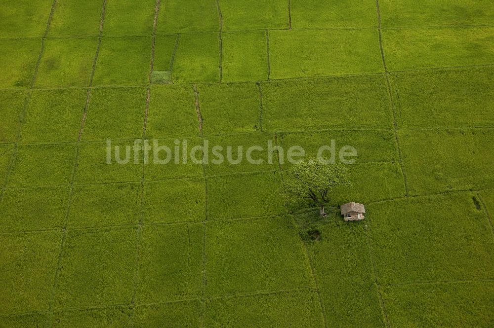 San Fernando aus der Vogelperspektive: Blick über Reisfelder und Bäume